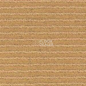 Ковролин Radici Solo Camel 4985 фото 1 | FLOORDEALER
